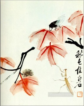 Qi Baishi likvidambra 台湾と蝉の古い中国の墨 Oil Paintings